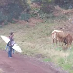 By The Sea Azores Σπίτι διακοπών *