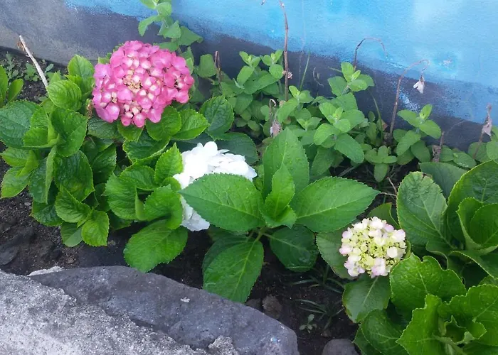 By The Sea Azores Dom wakacyjny *