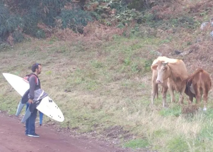 By The Sea Azores Dom wakacyjny *